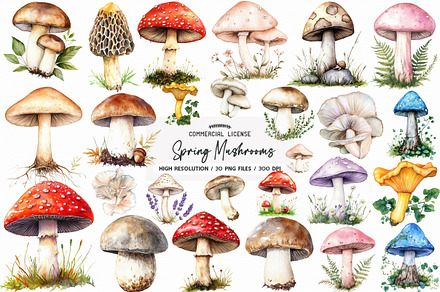 Rustic Spring Mushrooms Clipart, an Illustration by designhome