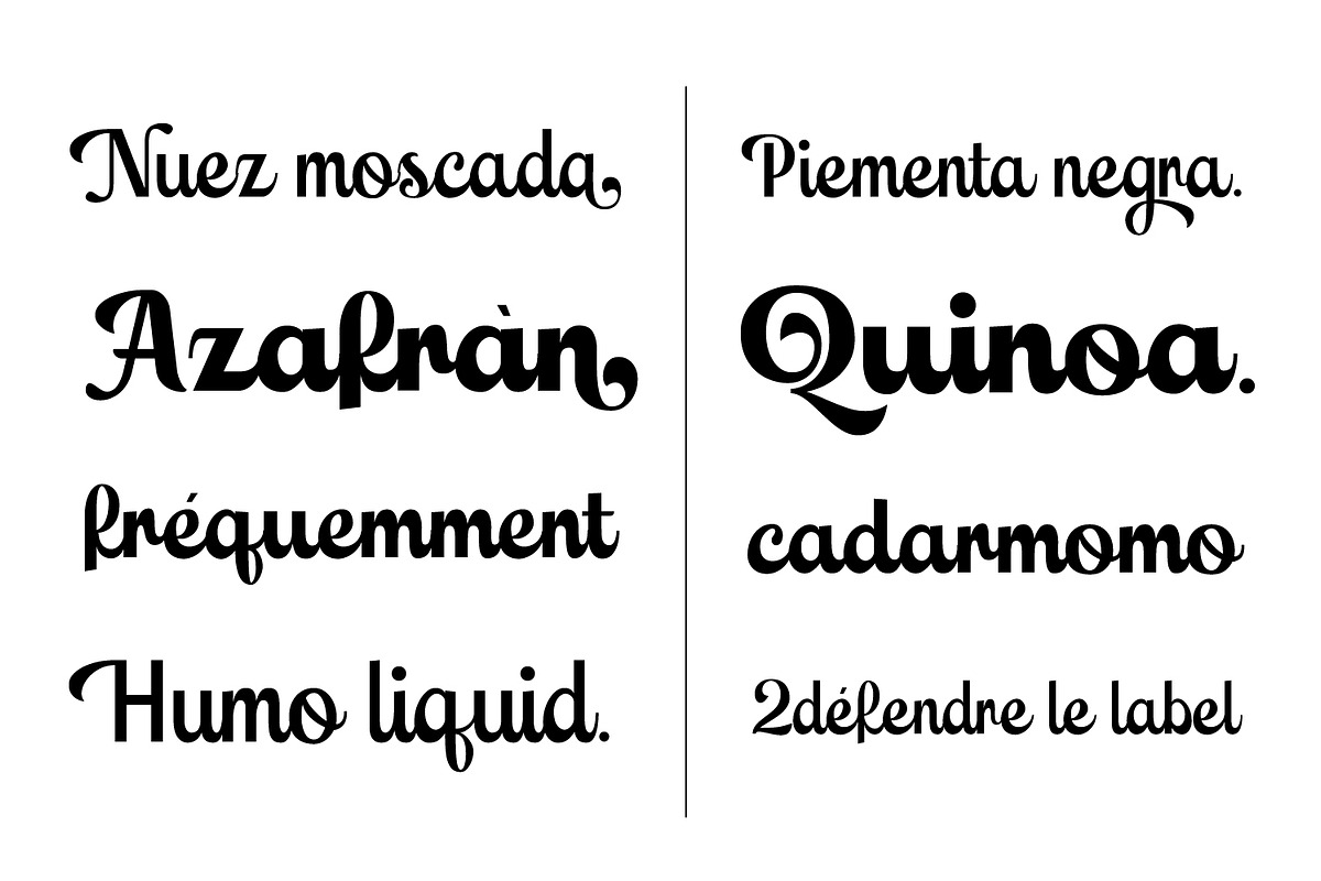 Leftis, a Script Font by Naksatra (Photo 4 of 14)