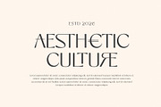 Norelisa Modern Branding Sans Font, a Serif Font by RantautypeStudio (Thumbnail 11 of 17)