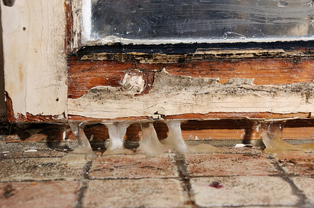 wooden casement mold, an Arts & Entertainment Photo by Apolonia