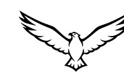 Powerful eagle flying wall art desig, an Illustration by Amazin_art (Thumbnail 25 of 31)
