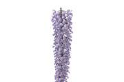 Wisteria, an Environmental 3D Model by AndrewWhite (Thumbnail 9 of 10)