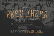 Bee's Knees Font, a Font by Mr. Chronos (Thumbnail 1 of 3)