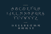 Bollent - Modern And Luxury Typeface, a Serif Font by Fype Co. (Thumbnail 9 of 10)
