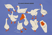 Silly Goose: Hand Drawn Illustration, an Animal Illustration by Pamcake (Thumbnail 2 of 7)