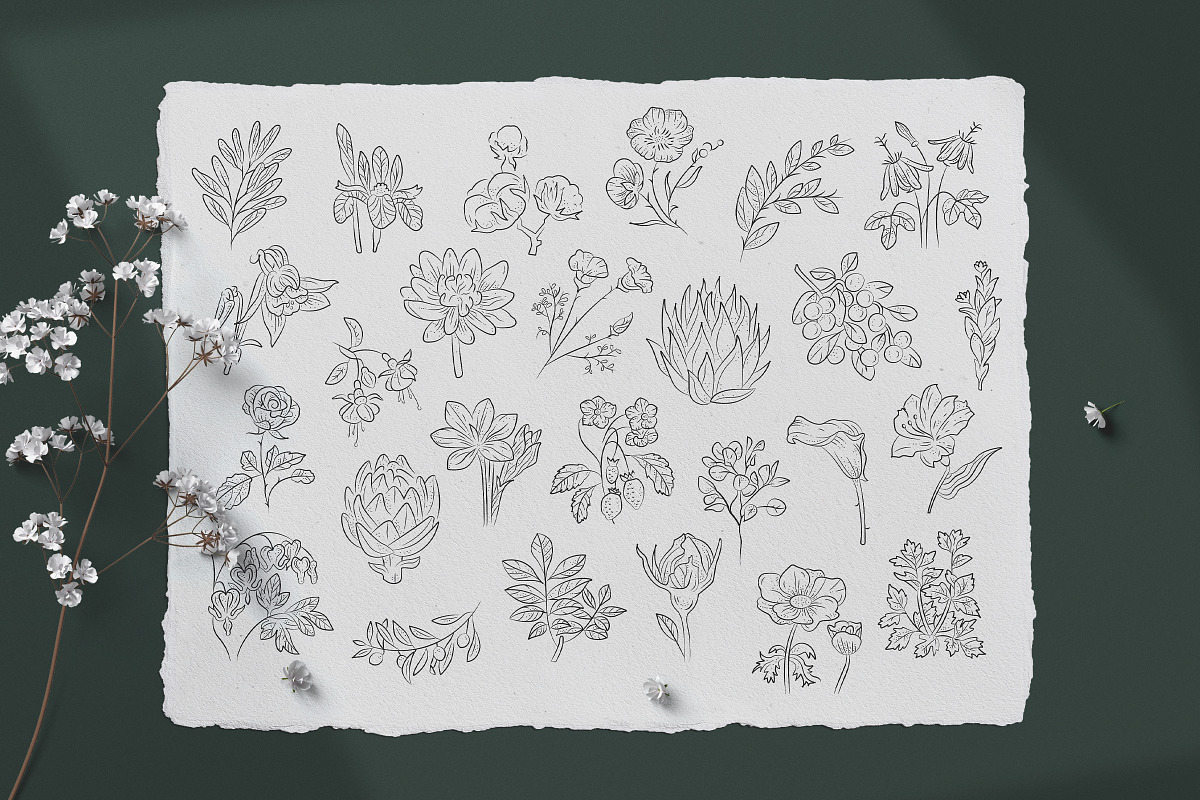 Floral Illustration Set, a Decorative Illustration by iStar Design (Photo 4 of 13)