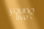 Rallisaguen, a Serif Font by DYSA Studio (Thumbnail 6 of 11)