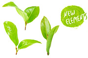 Matcha green tea. Photography set., an Object Graphic by Pullia (Thumbnail 5 of 6)