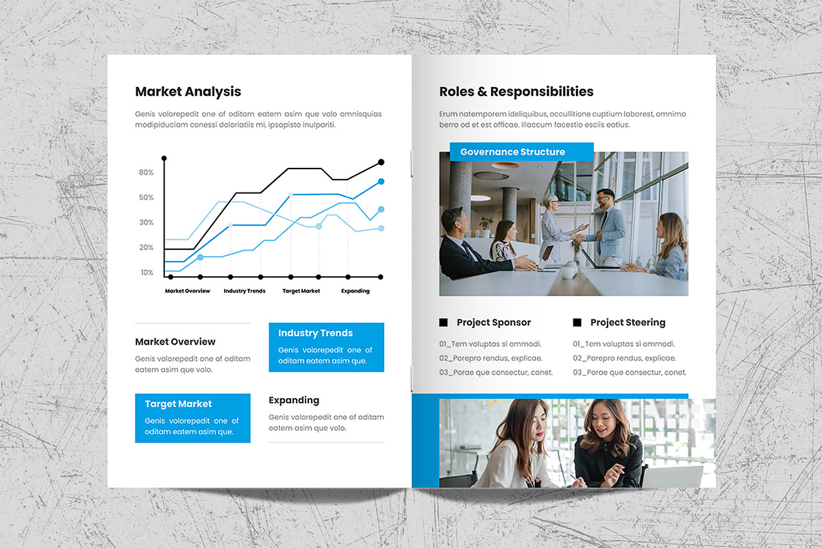 Project Proposal Brochure Template, a Brochure Template by White Graphic (Photo 9 of 11)