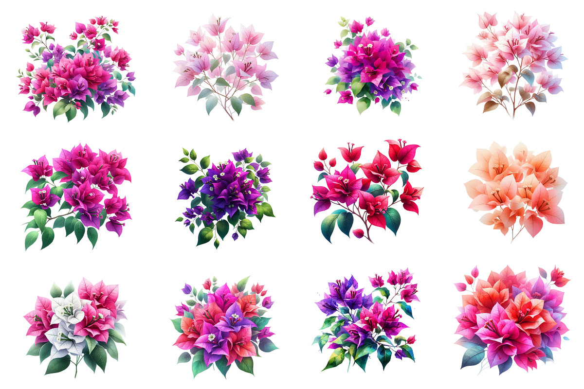 Bougainvillea Flowers Clipart Bundle, an Illustration by Dream Creation (Photo 2 of 5)