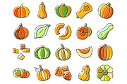 Pumpkins and squash whole and sliced, an Object Graphic by pikepicture (Thumbnail 2 of 3)