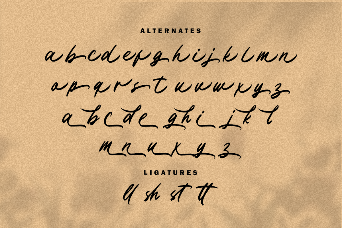 Belgista, a Script Font by artism_design (Photo 3 of 7)