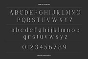 Lunar Type - Family Serif Font, a Serif Font by Flawless And Co (Thumbnail 9 of 10)
