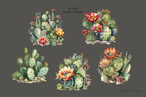 Blooming Cacti Clipart