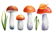 Mushrooms Forest watercolor painting, an Object Illustration by Hanna Hryharenka (Thumbnail 7 of 11)