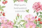 Wild Roses Watercolor Set, a Decorative Illustration by Irina Diasli (Thumbnail 2 of 9)