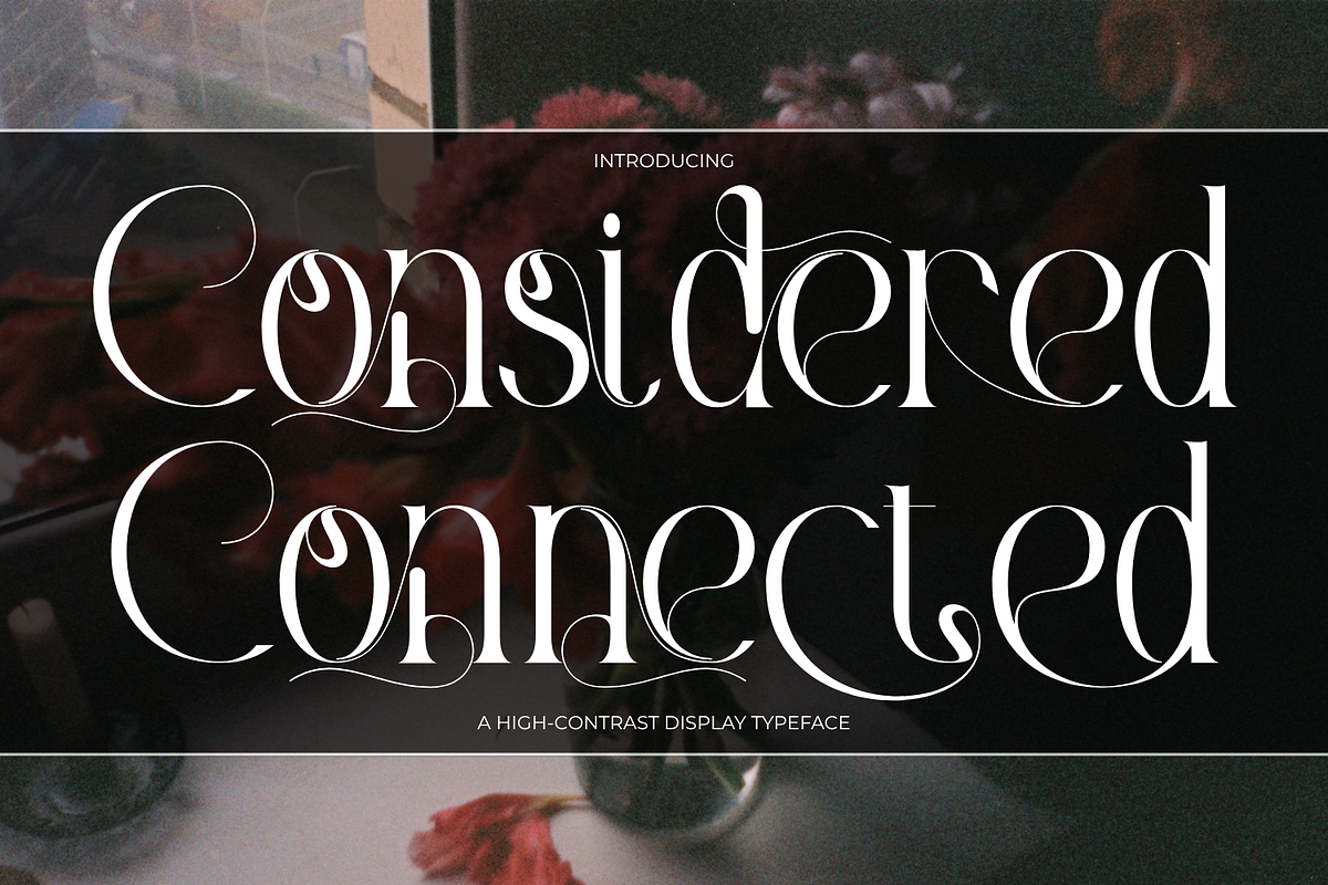 Considered Connected - Elegant Serif, a Serif Font by 177Studio (Photo 1 of 8)