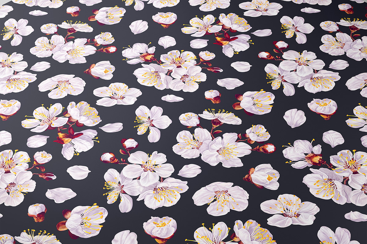 Apricot Branches Big Floral Set, an Illustration by MarynaPetrovska (Photo 10 of 23)
