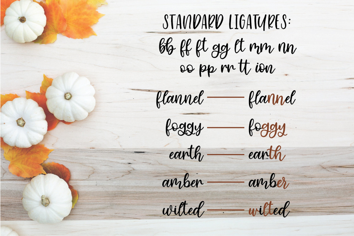 Cinnamon Sugar Script Font preview 6