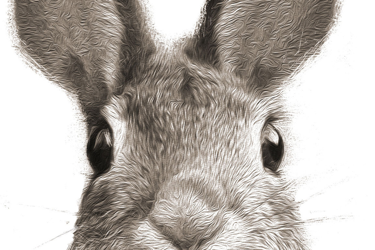 Peter Rabbit II, an Animal Illustration by Digital Art Downloads (Photo 3 of 3)