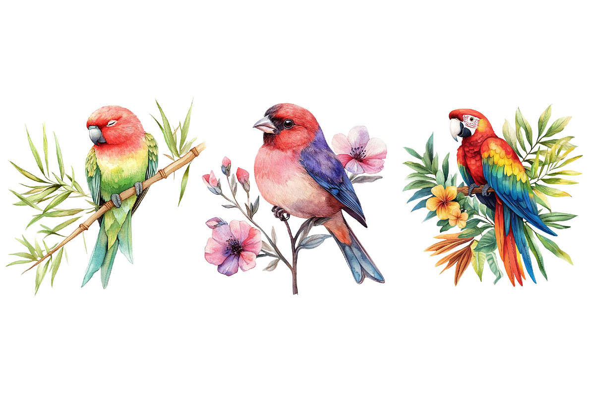 Tropical Birds Garden Clipart, an Icon by Dream Creation (Photo 6 of 6)