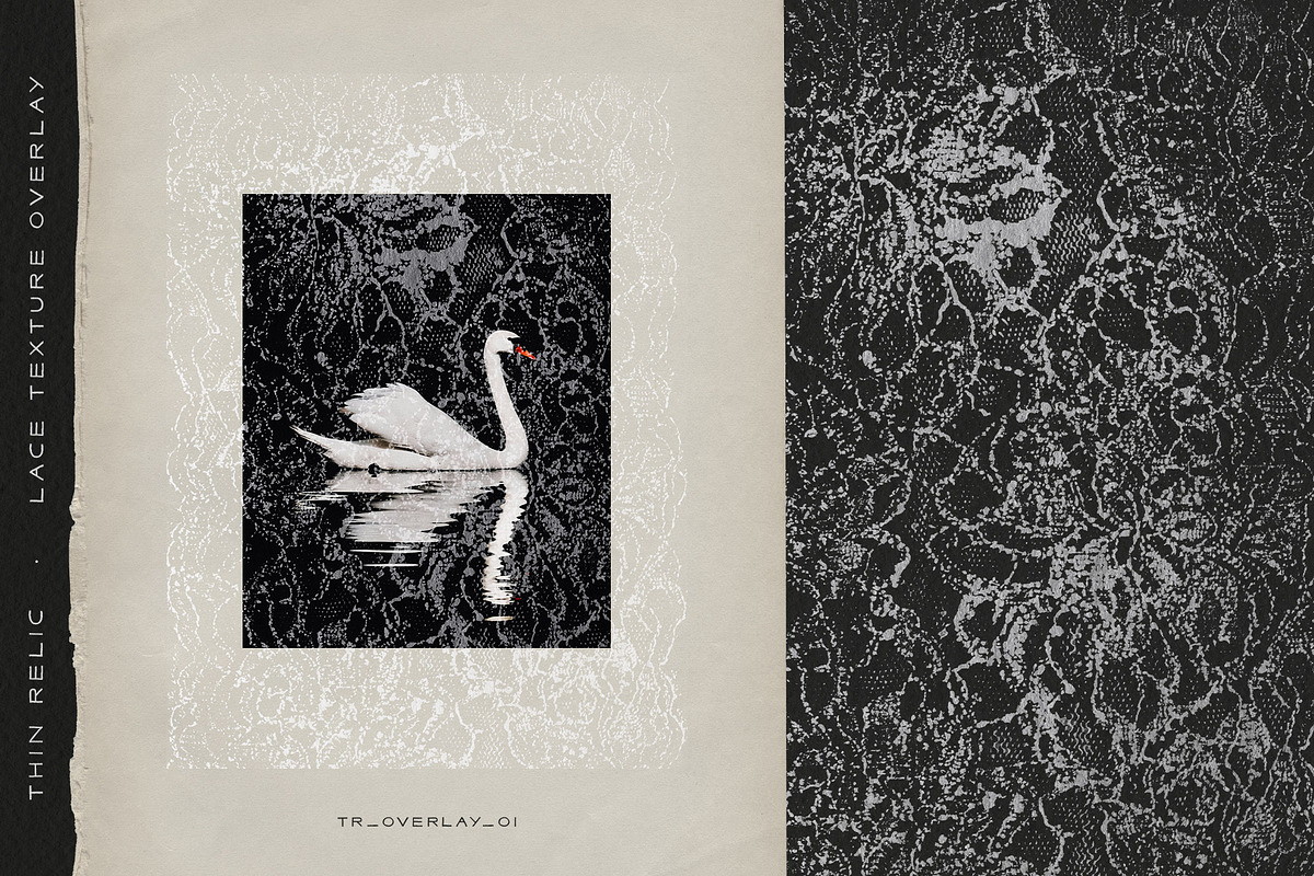 Thin Relic - Lace Texture Overlays, a Texture Graphic by alonahaidash (Photo 11 of 19)