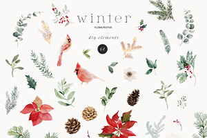 Winter - Watercolor Collection