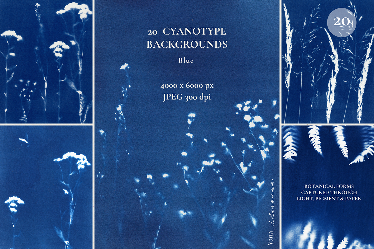 CYANOTYPE Botanical Backgrounds, a Background Graphic by Alisovna (Photo 5 of 15)