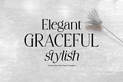 Stylish Avengers Serif Family, a Serif Font by moriztype (Thumbnail 8 of 13)