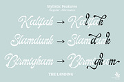 The Landing, a Script Font by Natural Ink Studio (Thumbnail 6 of 10)
