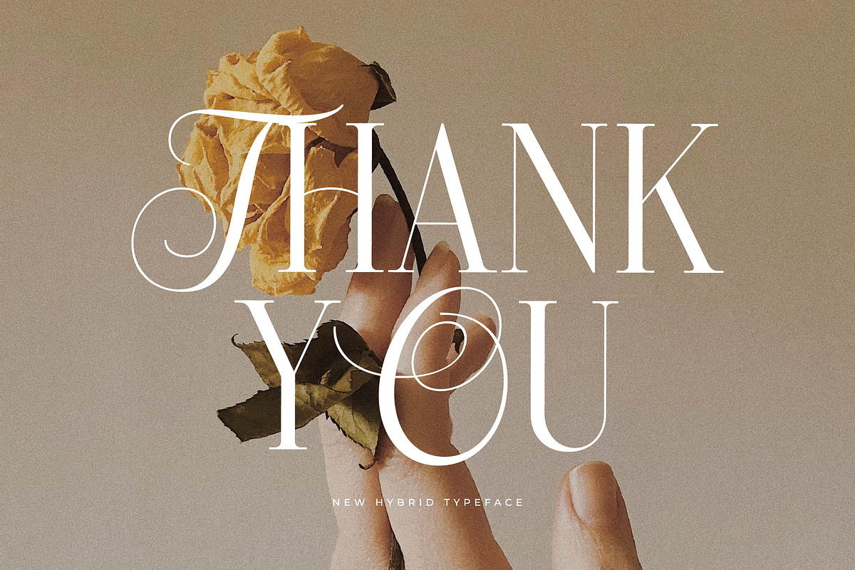 Menasha Brown New Hybrid Typeface, a Serif Font by Storytype Studio (Photo 15 of 15)