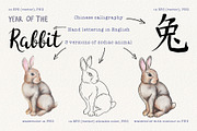 12 Chinese Zodiac Animals set, an Animal Illustration by Alena Solonshchikova (Thumbnail 9 of 13)