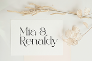 Excrallik Modern Serif, a Serif Font by Denustudios (Thumbnail 2 of 7)