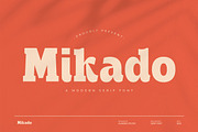 Mikado – Modern Serif Font, a Serif Font by Almeera Std (Thumbnail 1 of 6)