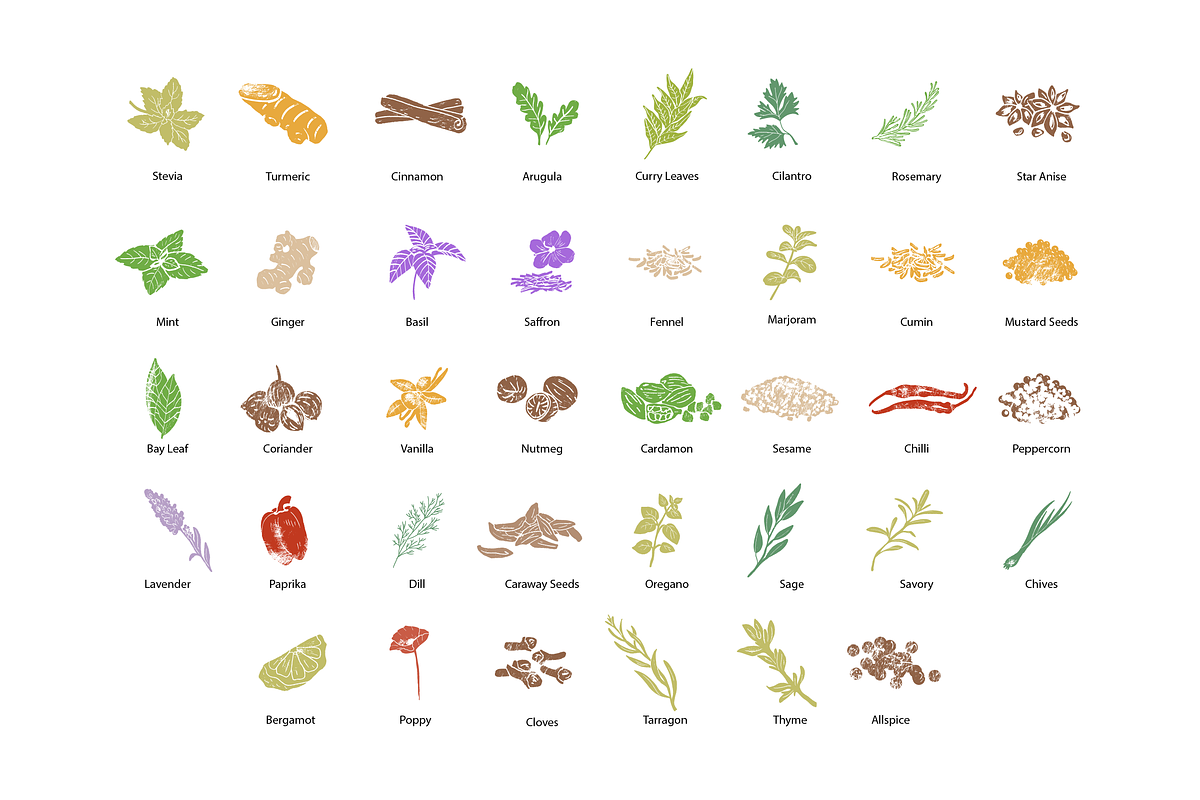 Herbs Illustrations, a Healthcare Illustration by Zhuna (Photo 2 of 10)