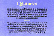 Rollik Typeface, a Serif Font by alit design (Thumbnail 13 of 17)