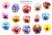 Watercolor Pansy Flowers Clipart, an Object Illustration by BarvArt (Thumbnail 2 of 4)
