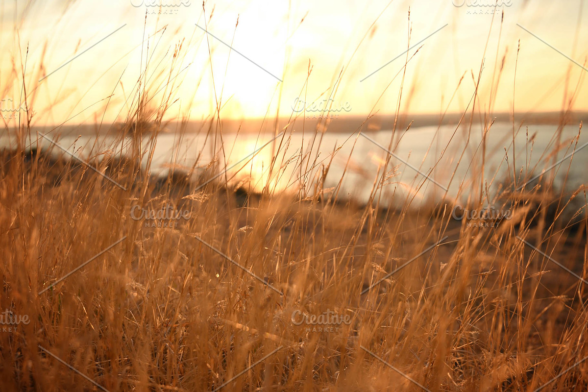 Open Meadow, a Photo by Road Life Market (Photo 2 of 2)