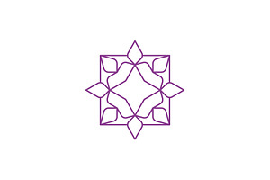 Geometric Flower Star Tech Logo