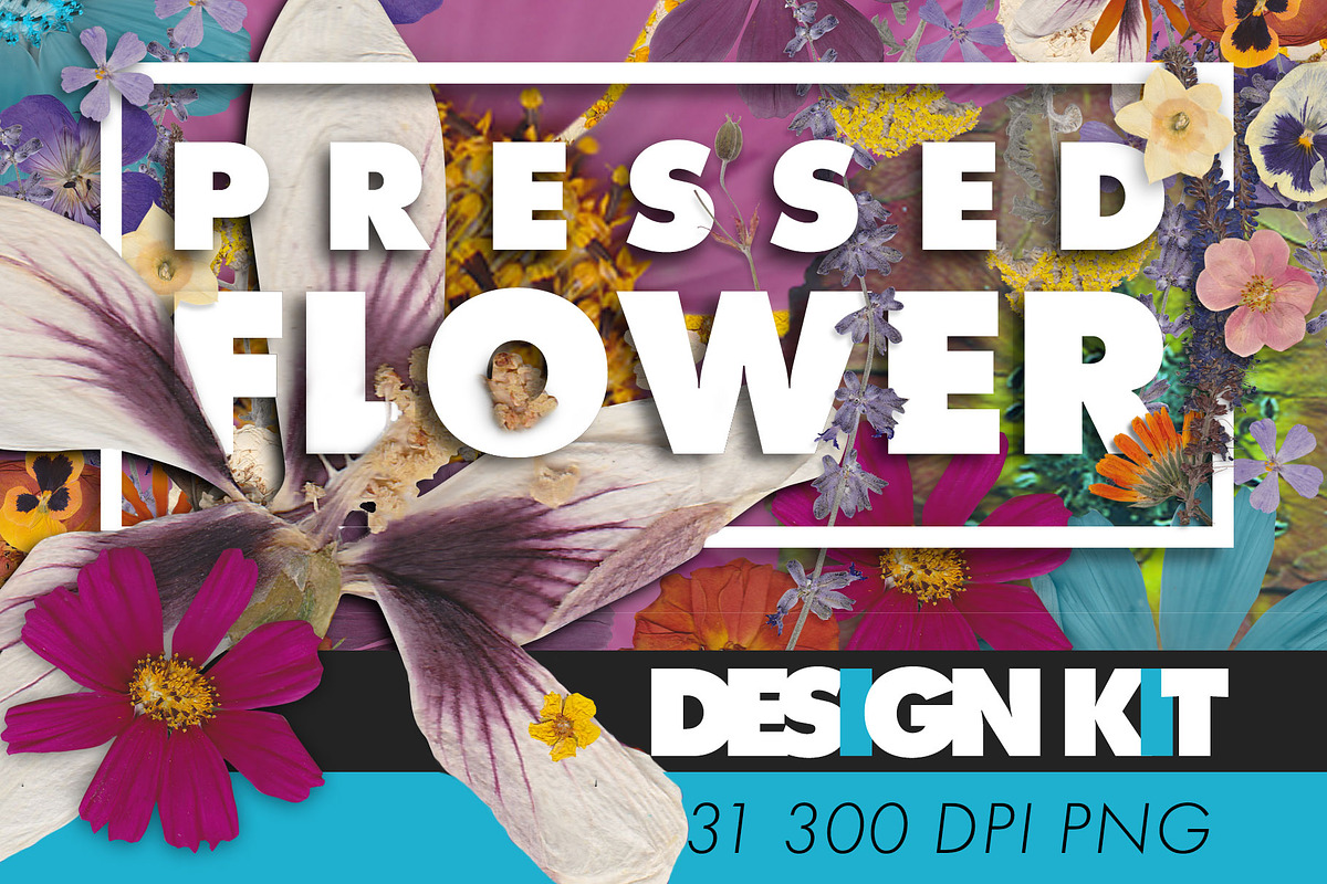 Pressed Flowers Floral Collage Kit, an Object Graphic by Tara Leigh Designs (Photo 6 of 6)