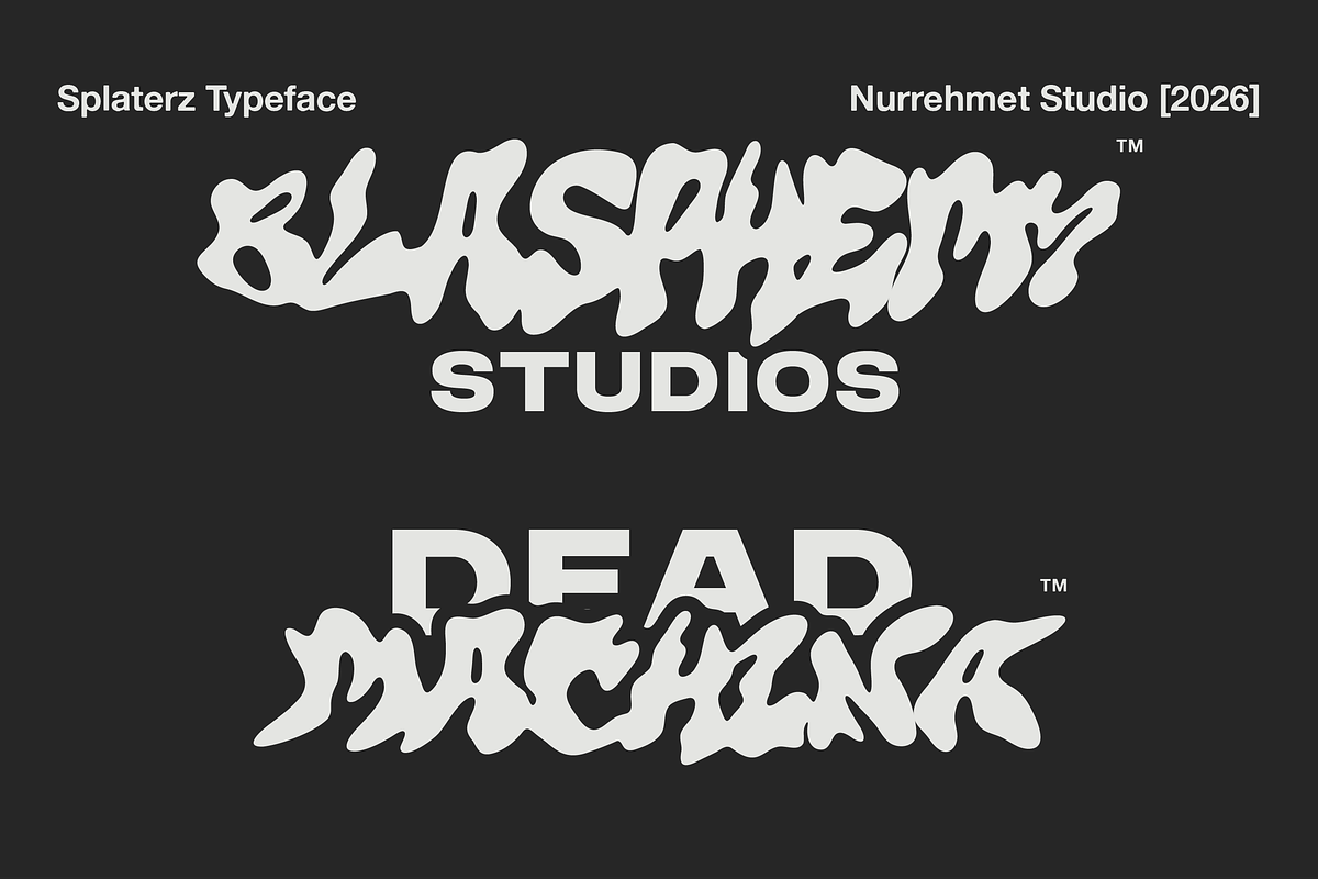 Splaterz NS - Organic Graffiti Font, a Handwritten Font by Nurrehmet Studio (Photo 5 of 8)