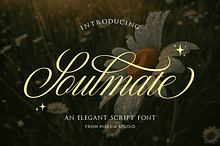 Soulmate - Modern Cursive Script