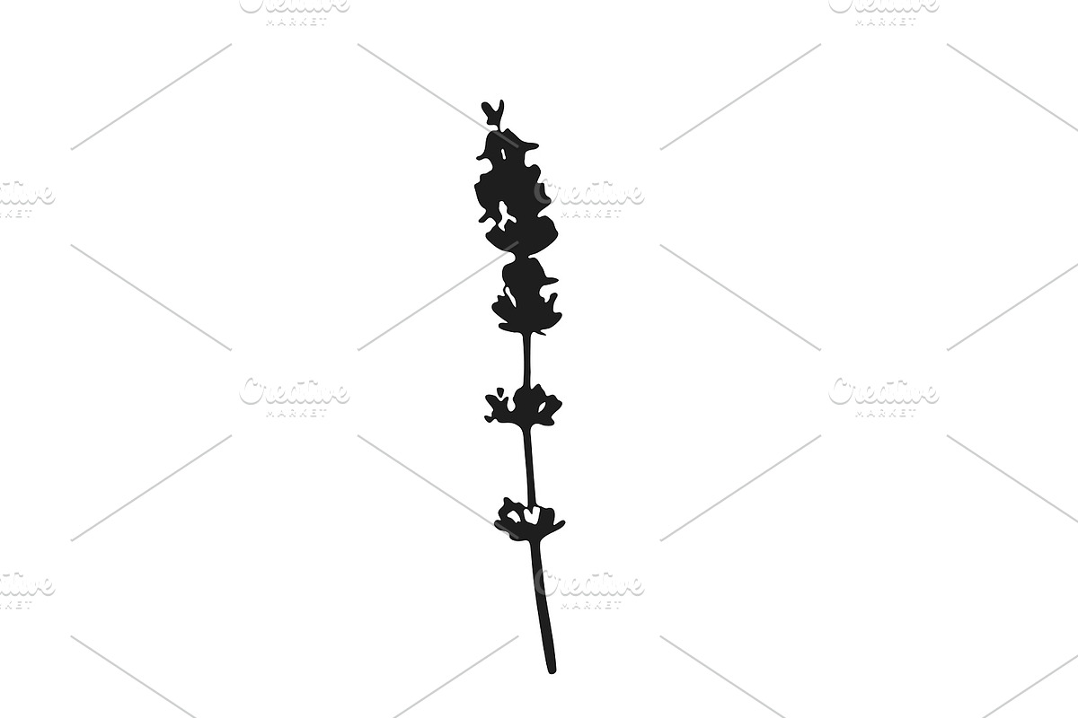 Botanical bundle - svg, png, a Decorative Illustration by Watercolor_Vector Graphic (Photo 22 of 26)