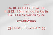 Another Beauty - Stylish Serif, a Serif Font by Shakira Studio (Thumbnail 10 of 10)