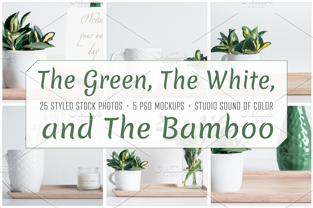 The Green, The White and The Bamboo, an Arts & Entertainment Photo by Sound of Color (Photo 1 of 10)