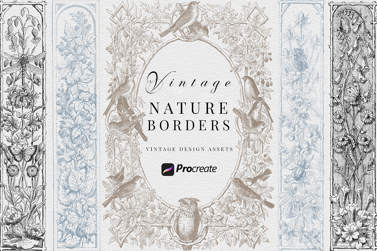 Procreate Vintage Nature Borders, a Brush Add-On by AW Studios (Photo 1 of 9)