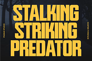 Hunter - Futuristic Sans Display, a Sans Serif Font by Pian45 Studio (Thumbnail 2 of 8)