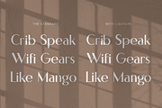 Japera - Modern Scripty Sans Display, a Sans Serif Font by Cloverons (Thumbnail 3 of 14)
