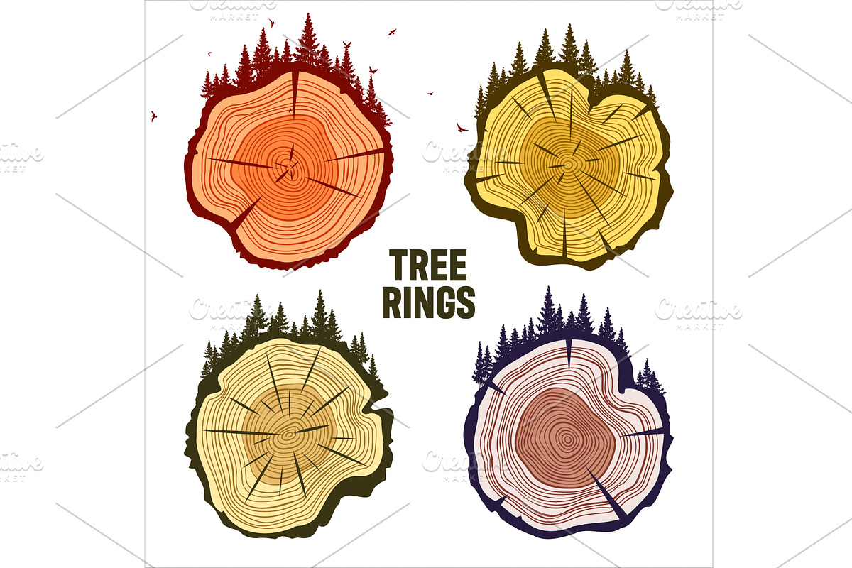 Round tree trunk cuts with trees, an Object Illustration by 32pixels