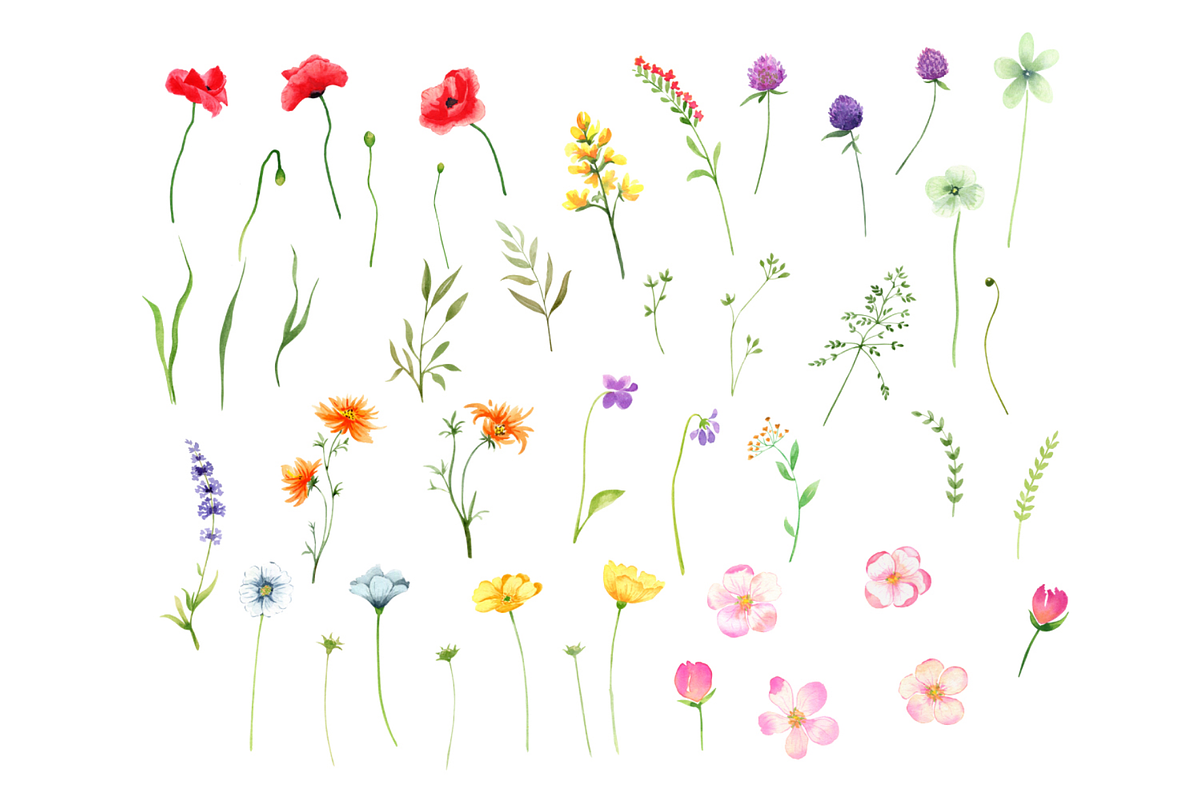 Watercolor Wildflowers clipart, a Decorative Illustration by Lemon design (Photo 8 of 21)